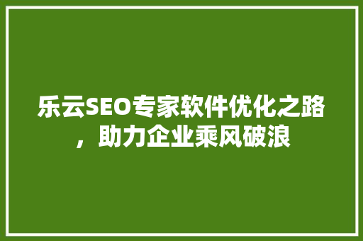 乐云SEO专家软件优化之路，助力企业乘风破浪