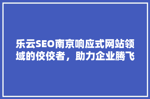 乐云SEO南京响应式网站领域的佼佼者，助力企业腾飞