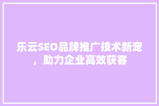 乐云SEO品牌推广技术新宠，助力企业高效获客