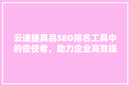 云速捷真品SEO排名工具中的佼佼者，助力企业高效提升网站排名