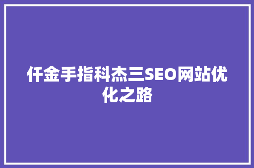 仟金手指科杰三SEO网站优化之路