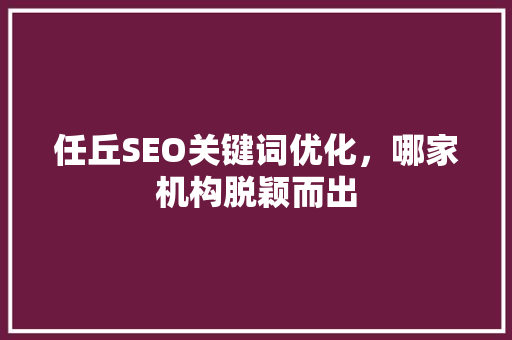 任丘SEO关键词优化，哪家机构脱颖而出