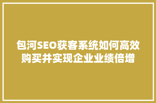包河SEO获客系统如何高效购买并实现企业业绩倍增