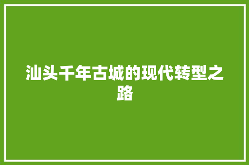 汕头千年古城的现代转型之路