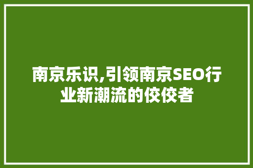 南京乐识,引领南京SEO行业新潮流的佼佼者