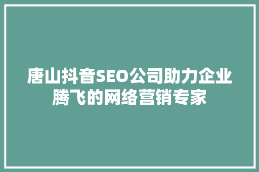 唐山抖音SEO公司助力企业腾飞的网络营销专家