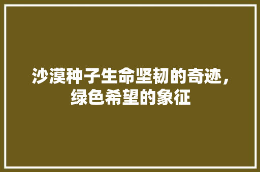 沙漠种子生命坚韧的奇迹，绿色希望的象征