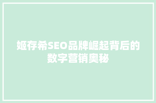 姬存希SEO品牌崛起背后的数字营销奥秘