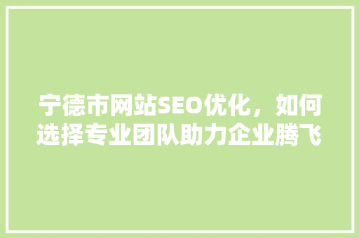 宁德市网站SEO优化，如何选择专业团队助力企业腾飞