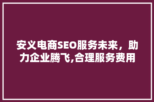 安义电商SEO服务未来，助力企业腾飞,合理服务费用背后的价值