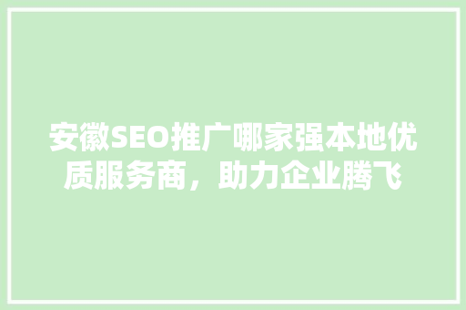 安徽SEO推广哪家强本地优质服务商，助力企业腾飞