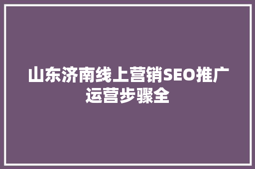 山东济南线上营销SEO推广运营步骤全