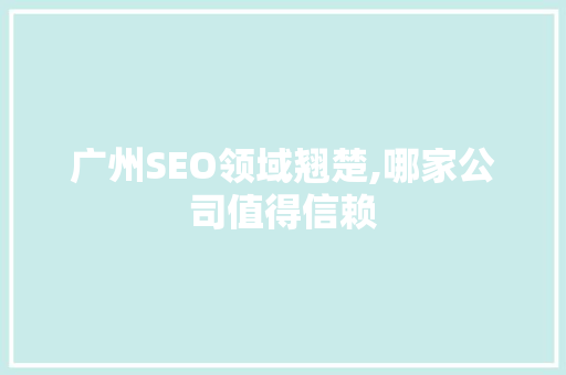 广州SEO领域翘楚,哪家公司值得信赖