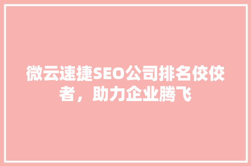 微云速捷SEO公司排名佼佼者，助力企业腾飞