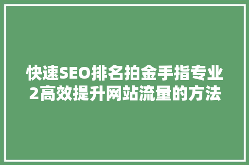 快速SEO排名拍金手指专业2高效提升网站流量的方法