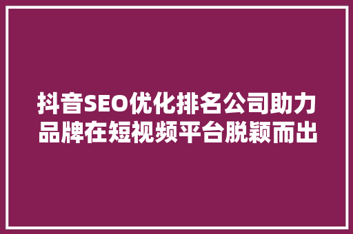 抖音SEO优化排名公司助力品牌在短视频平台脱颖而出