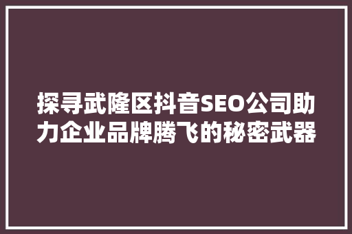 探寻武隆区抖音SEO公司助力企业品牌腾飞的秘密武器