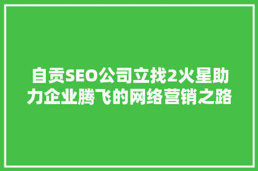 自贡SEO公司立找2火星助力企业腾飞的网络营销之路