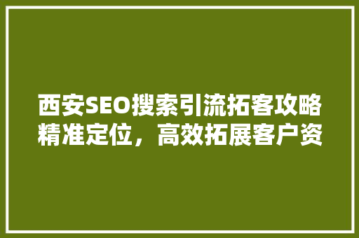 西安SEO搜索引流拓客攻略精准定位，高效拓展客户资源