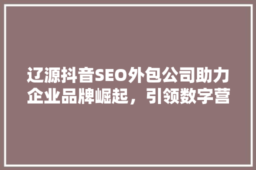 辽源抖音SEO外包公司助力企业品牌崛起，引领数字营销新潮流
