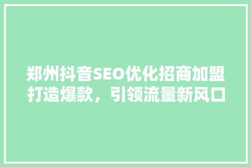 郑州抖音SEO优化招商加盟打造爆款，引领流量新风口