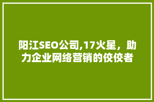 阳江SEO公司,17火星，助力企业网络营销的佼佼者