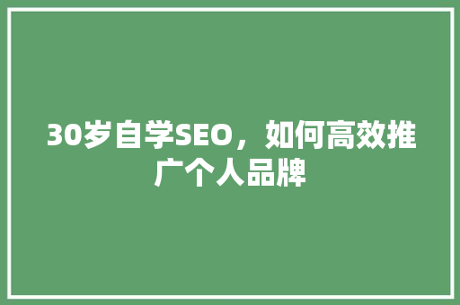 30岁自学SEO，如何高效推广个人品牌  第1张