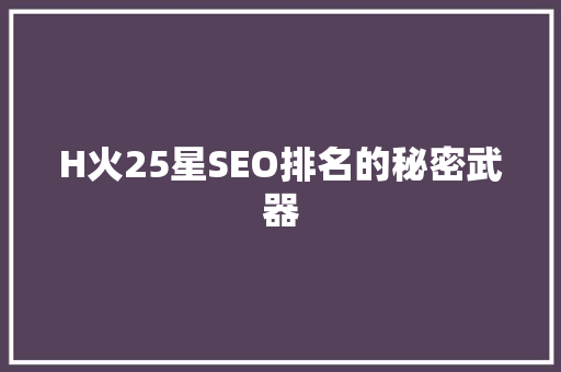 H火25星SEO排名的秘密武器