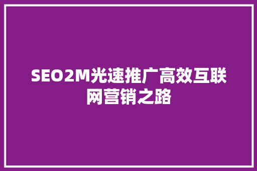 SEO2M光速推广高效互联网营销之路