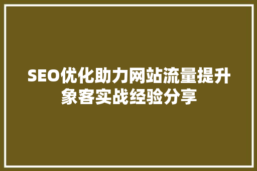 SEO优化助力网站流量提升象客实战经验分享  第1张