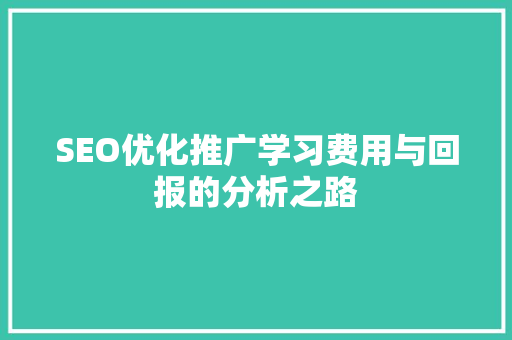 SEO优化推广学习费用与回报的分析之路