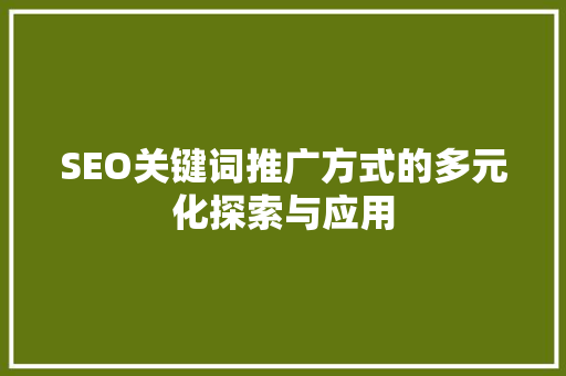 SEO关键词推广方式的多元化探索与应用