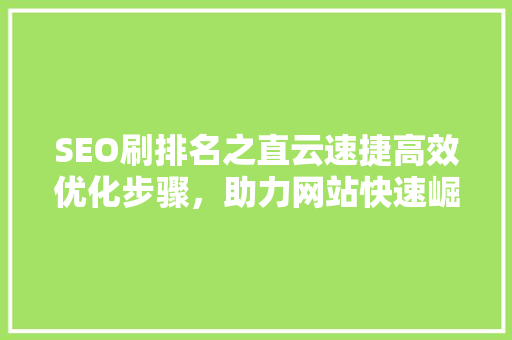 SEO刷排名之直云速捷高效优化步骤，助力网站快速崛起