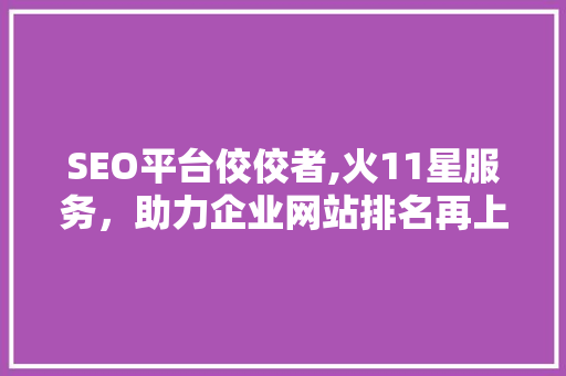SEO平台佼佼者,火11星服务，助力企业网站排名再上新台阶
