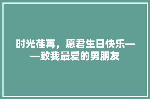 时光荏苒，愿君生日快乐——致我最爱的男朋友