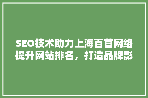 SEO技术助力上海百首网络提升网站排名，打造品牌影响力