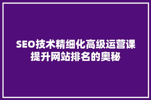 SEO技术精细化高级运营课提升网站排名的奥秘
