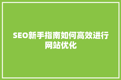 SEO新手指南如何高效进行网站优化