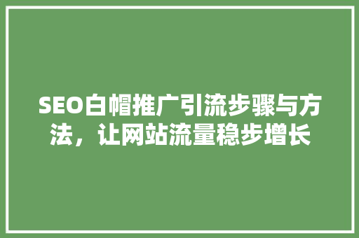 SEO白帽推广引流步骤与方法，让网站流量稳步增长