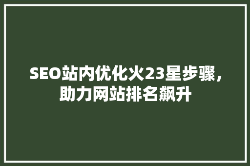 SEO站内优化火23星步骤，助力网站排名飙升