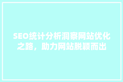 SEO统计分析洞察网站优化之路，助力网站脱颖而出