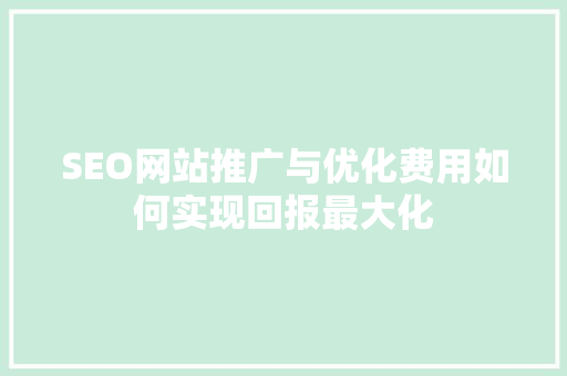 SEO网站推广与优化费用如何实现回报最大化