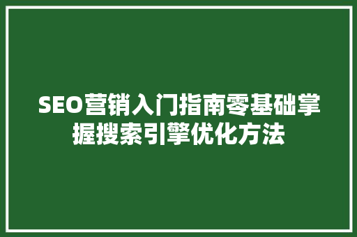 SEO营销入门指南零基础掌握搜索引擎优化方法