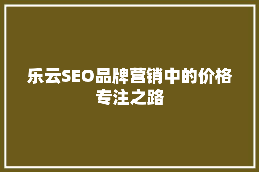 乐云SEO品牌营销中的价格专注之路