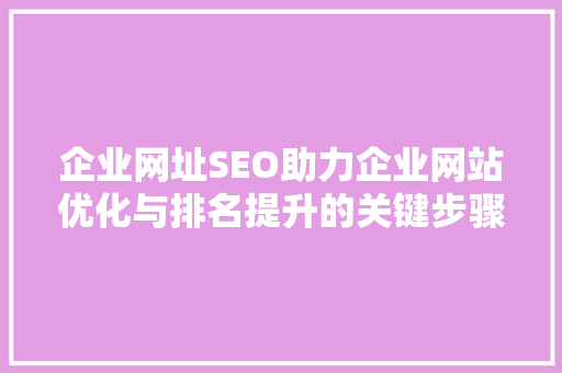 企业网址SEO助力企业网站优化与排名提升的关键步骤