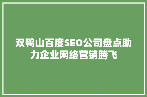 双鸭山百度SEO公司盘点助力企业网络营销腾飞