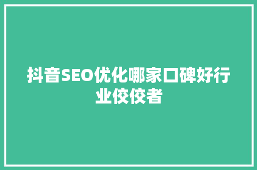抖音SEO优化哪家口碑好行业佼佼者