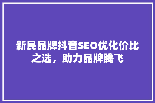 新民品牌抖音SEO优化价比之选，助力品牌腾飞