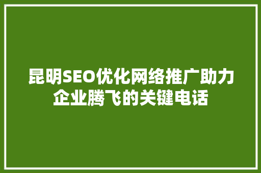 昆明SEO优化网络推广助力企业腾飞的关键电话