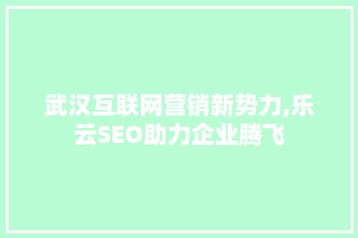 武汉互联网营销新势力,乐云SEO助力企业腾飞